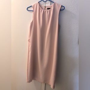 Zara Shift Dress